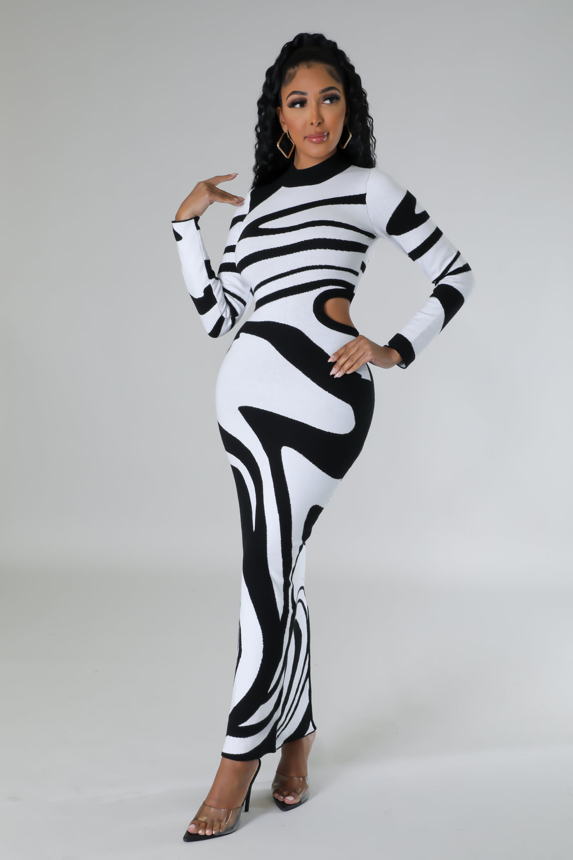 Zebra Later Dress