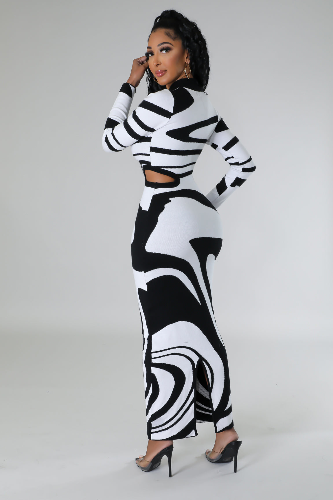 Zebra Later Dress